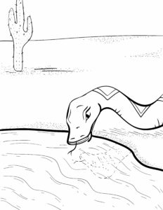Uncolored sample page of Sammy looking at his reflection in a pool of water in the desert